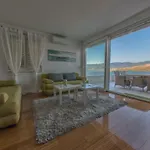 Bouvier Apartment
